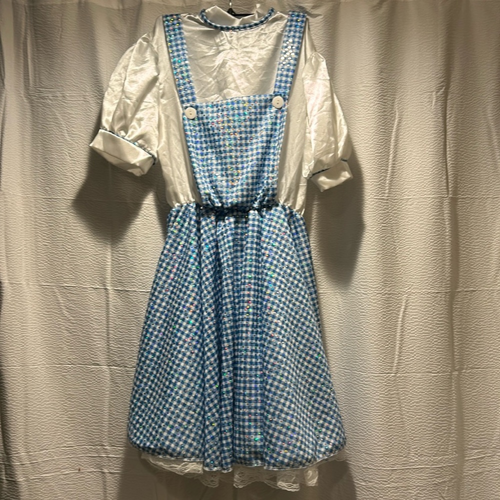 Dorothy Costume